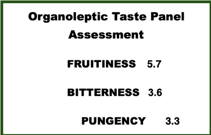 Galega - Portugal (Medium) - Sept 2025
