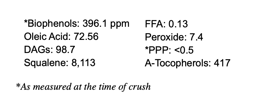 Galega - Portugal (Medium) - Sept 2025